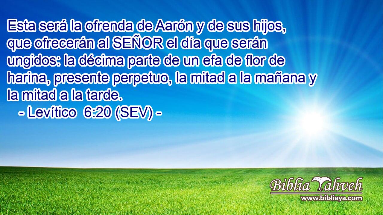 Esta será la ofrenda de Aarón y de sus hijos, que ofrecerán al SEÑOR el día que serán ungidos: la décima parte de un efa de flor de harina, presente perpetuo, la mitad a la mañana y la mitad a la tarde.