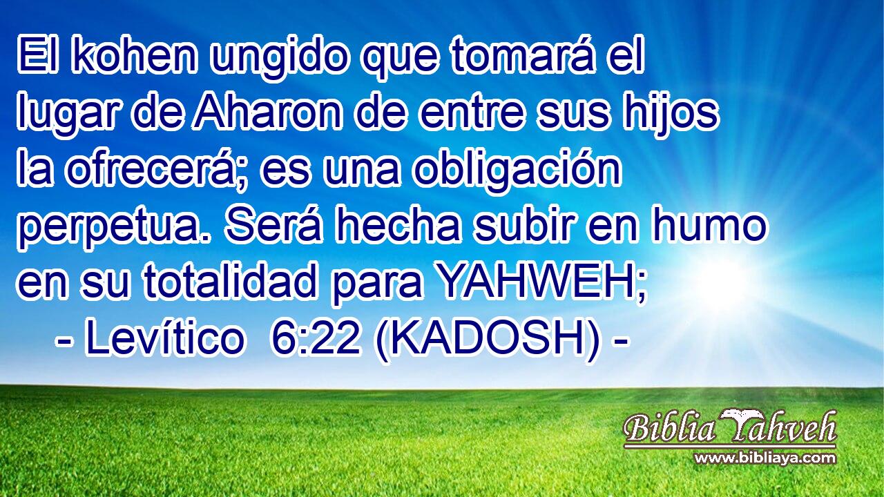  El kohen ungido que tomará el lugar de Aharon de entre sus hijos la ofrecerá; es una obligación perpetua. Será hecha subir en humo en su totalidad para YAHWEH; 