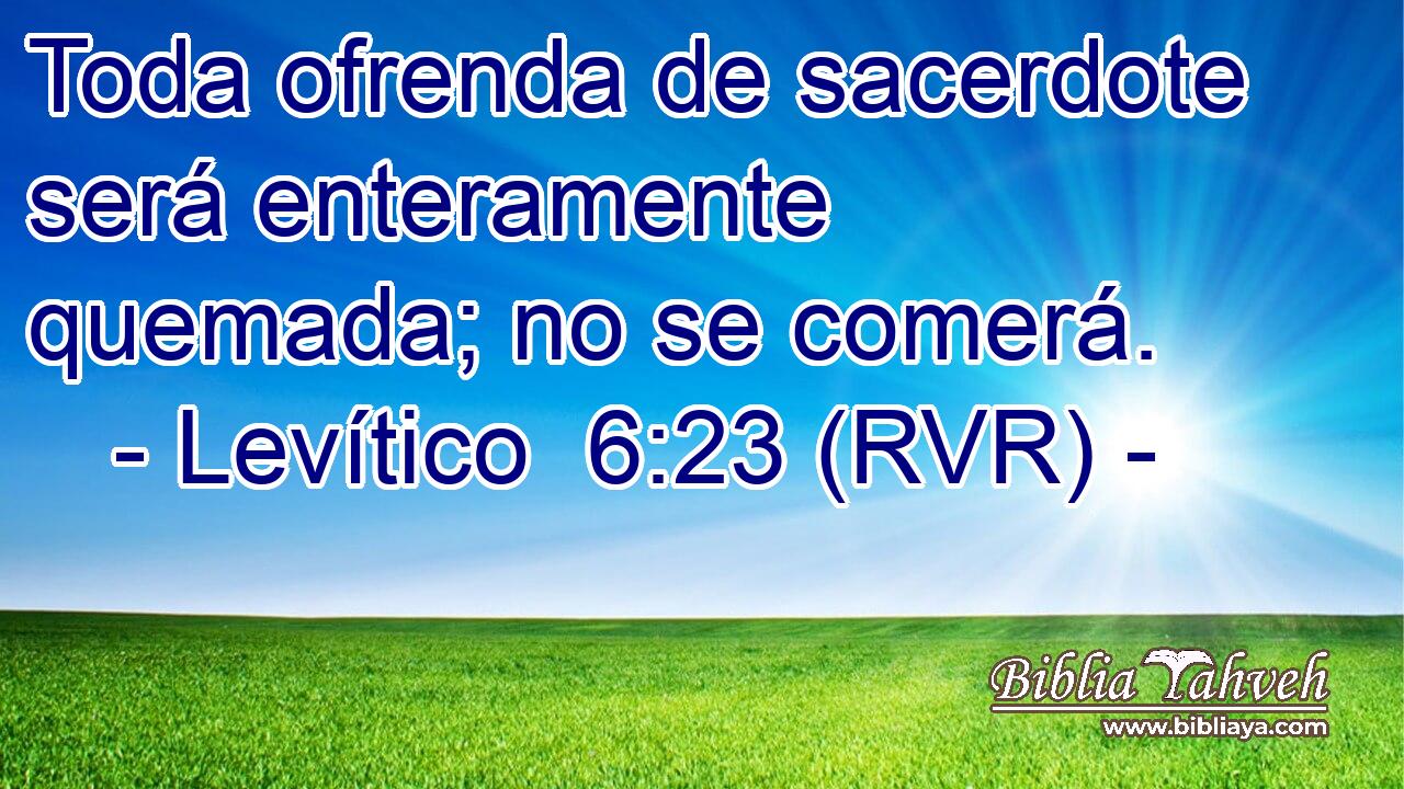 Toda ofrenda de sacerdote será enteramente quemada; no se comerá.