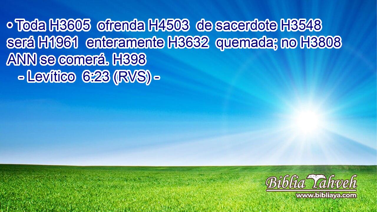 • Toda H3605  ofrenda H4503  de sacerdote H3548  será H1961  enteramente H3632  quemada; no H3808 ANN se comerá. H398  