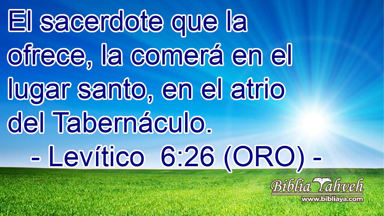  El sacerdote que la ofrece, la comerá en el lugar santo, en el atrio del Tabernáculo. 