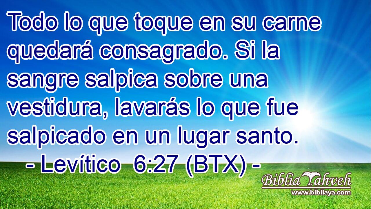 Todo lo que toque en su carne quedará consagrado. Si la sangre salpica sobre una vestidura, lavarás lo que fue salpicado en un lugar santo.