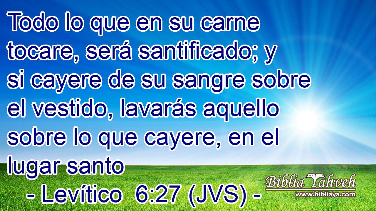 Todo lo que en su carne tocare, será santificado; y si cayere de su sangre sobre el vestido, lavarás aquello sobre lo que cayere, en el lugar santo