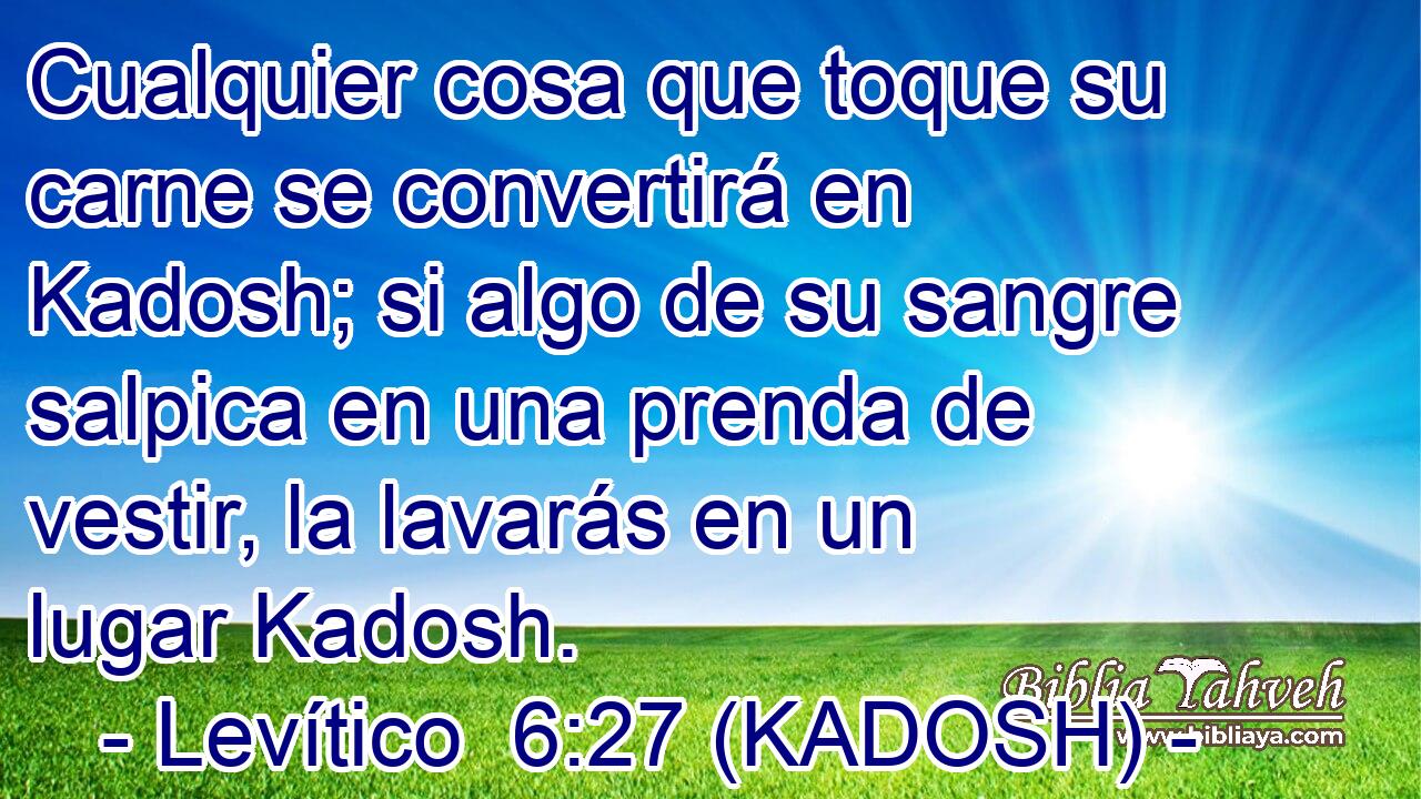  Cualquier cosa que toque su carne se convertirá en Kadosh; si algo de su sangre salpica en una prenda de vestir, la lavarás en un lugar Kadosh. 