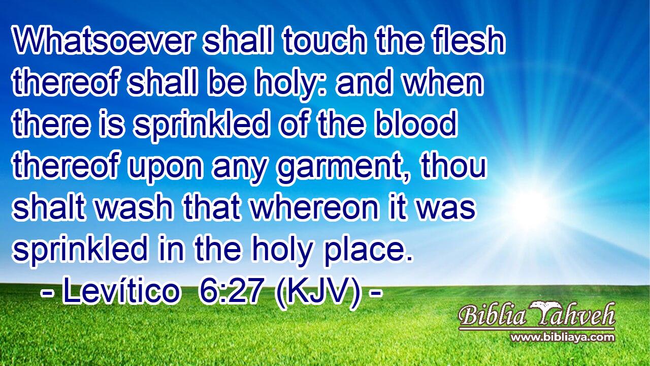 Whatsoever shall touch the flesh thereof shall be holy: and when there is sprinkled of the blood thereof upon any garment, thou shalt wash that whereon it was sprinkled in the holy place.