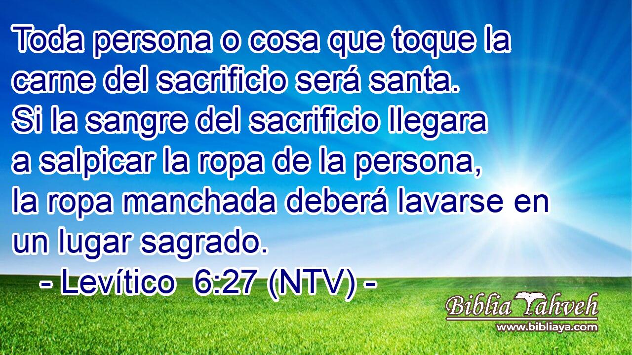 Toda persona o cosa que toque la carne del sacrificio será santa. Si la sangre del sacrificio llegara a salpicar la ropa de la persona, la ropa manchada deberá lavarse en un lugar sagrado.
