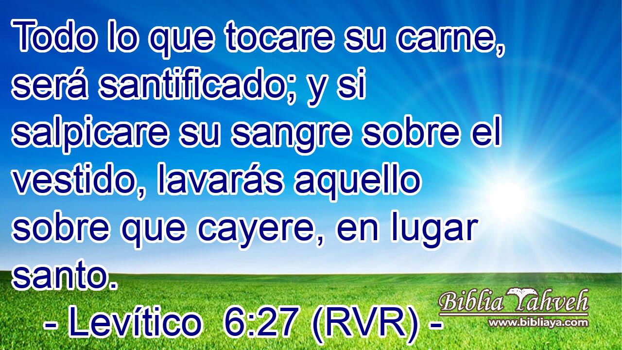 Todo lo que tocare su carne, será santificado; y si salpicare su sangre sobre el vestido, lavarás aquello sobre que cayere, en lugar santo.