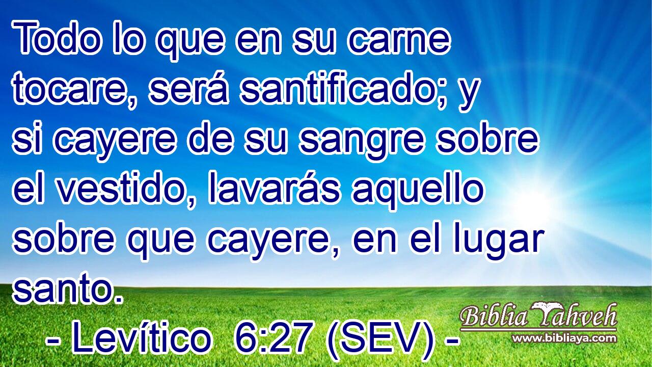 Todo lo que en su carne tocare, será santificado; y si cayere de su sangre sobre el vestido, lavarás aquello sobre que cayere, en el lugar santo.