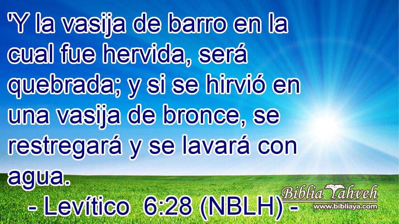  'Y la vasija de barro en la cual fue hervida, será quebrada; y si se hirvió en una vasija de bronce, se restregará y se lavará con agua. 