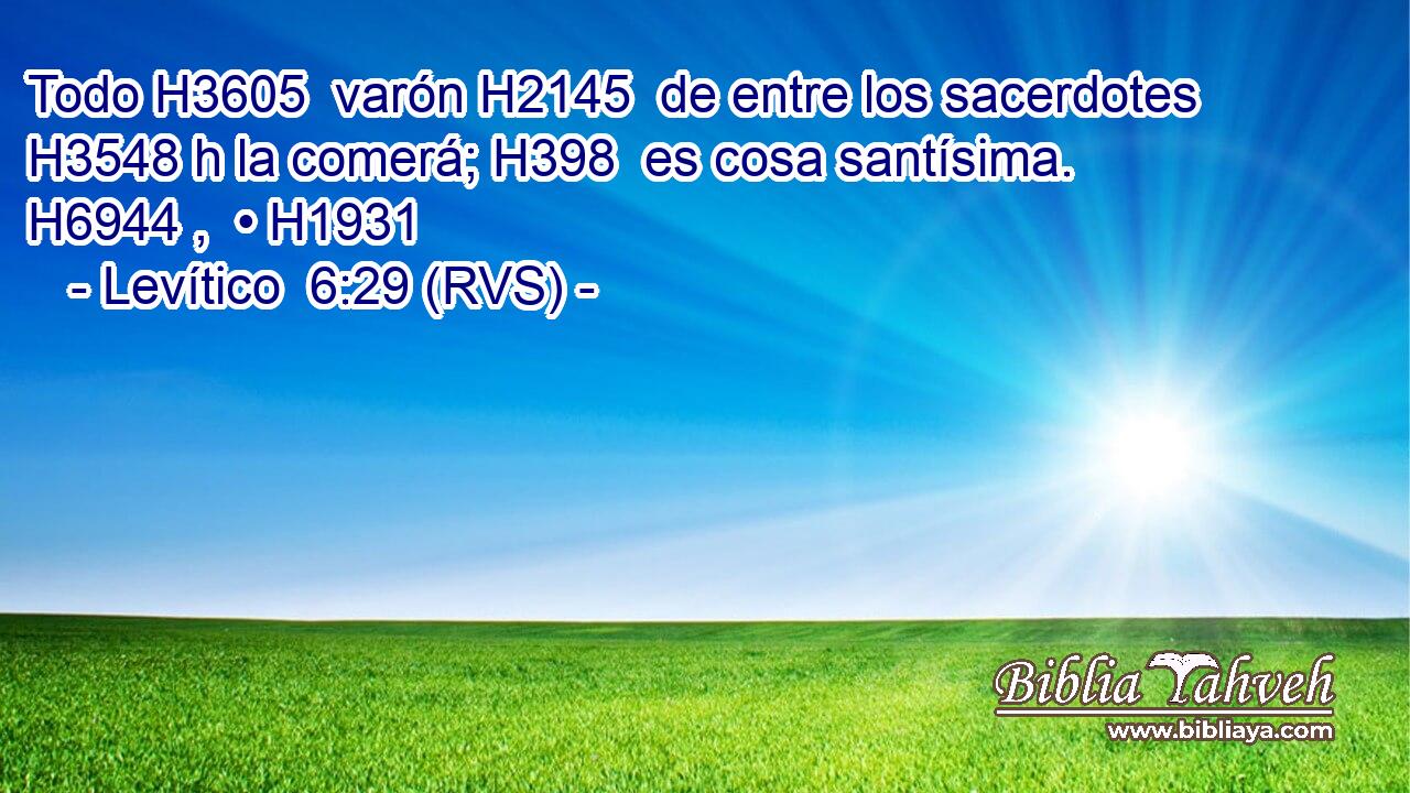 Todo H3605  varón H2145  de entre los sacerdotes H3548 h la comerá; H398  es cosa santísima. H6944 ,  • H1931  