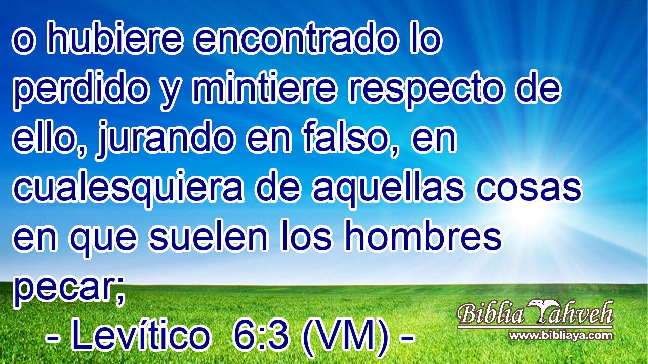  o hubiere encontrado lo perdido y mintiere respecto de ello, jurando en falso, en cualesquiera de aquellas cosas en que suelen los hombres pecar; 