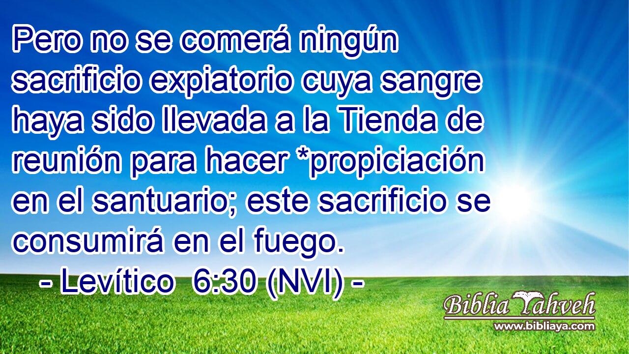  Pero no se comerá ningún sacrificio expiatorio cuya sangre haya sido llevada a la Tienda de reunión para hacer *propiciación en el santuario; este sacrificio se consumirá en el fuego. 