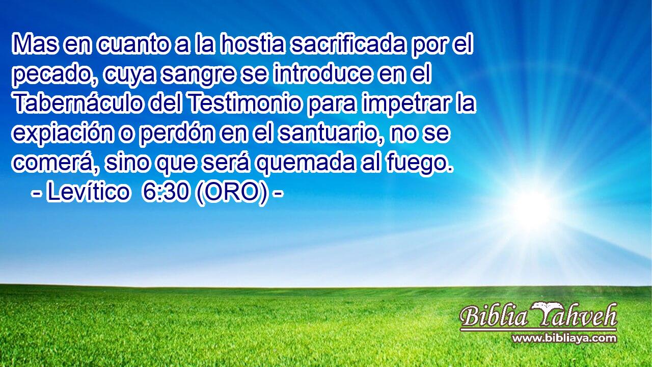  Mas en cuanto a la hostia sacrificada por el pecado, cuya sangre se introduce en el Tabernáculo del Testimonio para impetrar la expiación o perdón en el santuario, no se comerá, sino que será quemada al fuego. 