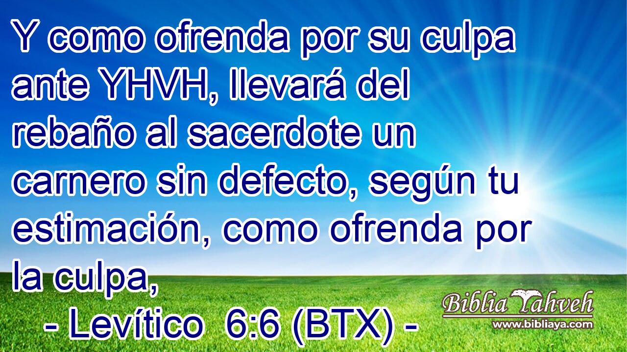 Y como ofrenda por su culpa ante YHVH, llevará del rebaño al sacerdote un carnero sin defecto, según tu estimación, como ofrenda por la culpa,