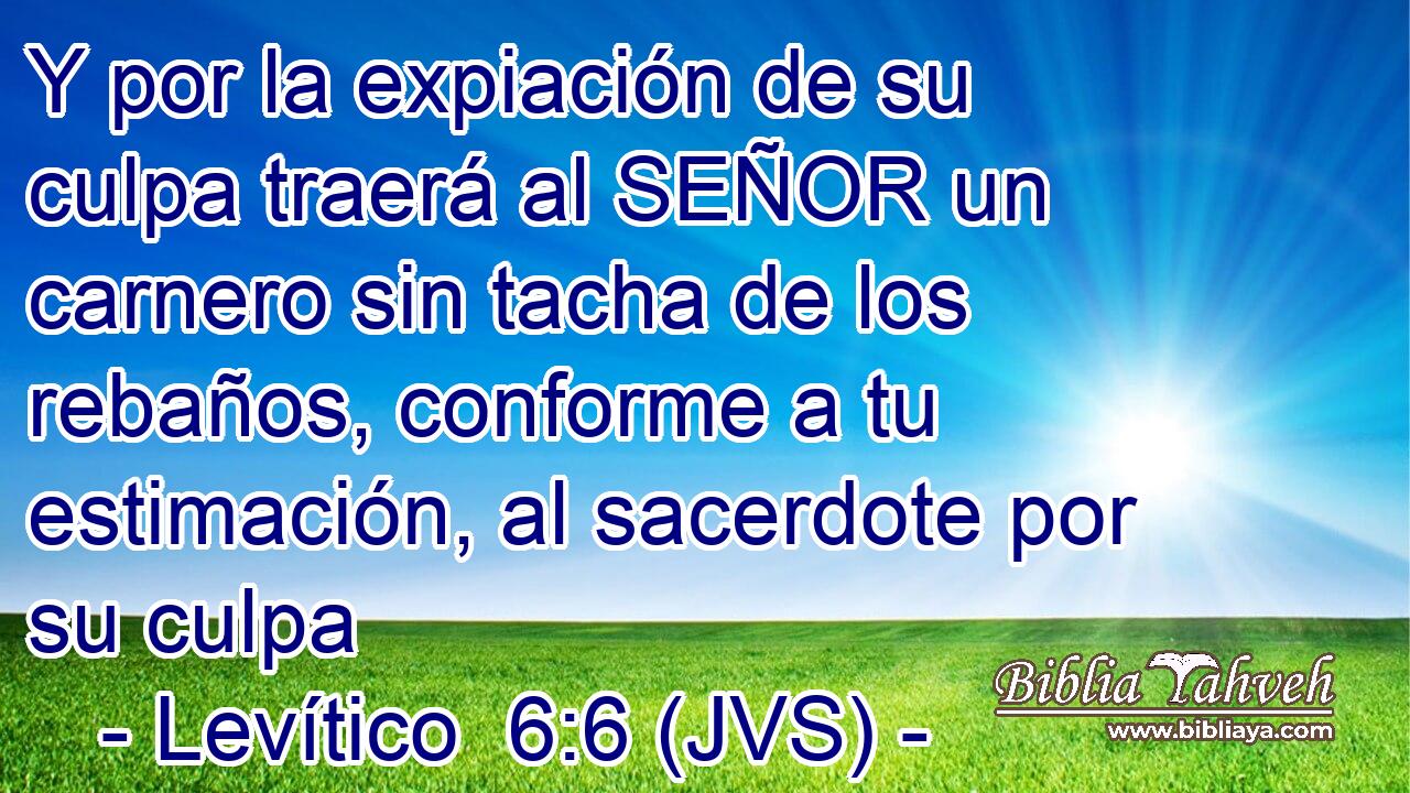 Y por la expiación de su culpa traerá al SEÑOR un carnero sin tacha de los rebaños, conforme a tu estimación, al sacerdote por su culpa