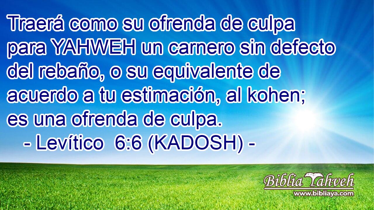  Traerá como su ofrenda de culpa para YAHWEH un carnero sin defecto del rebaño, o su equivalente de acuerdo a tu estimación, al kohen; es una ofrenda de culpa. 