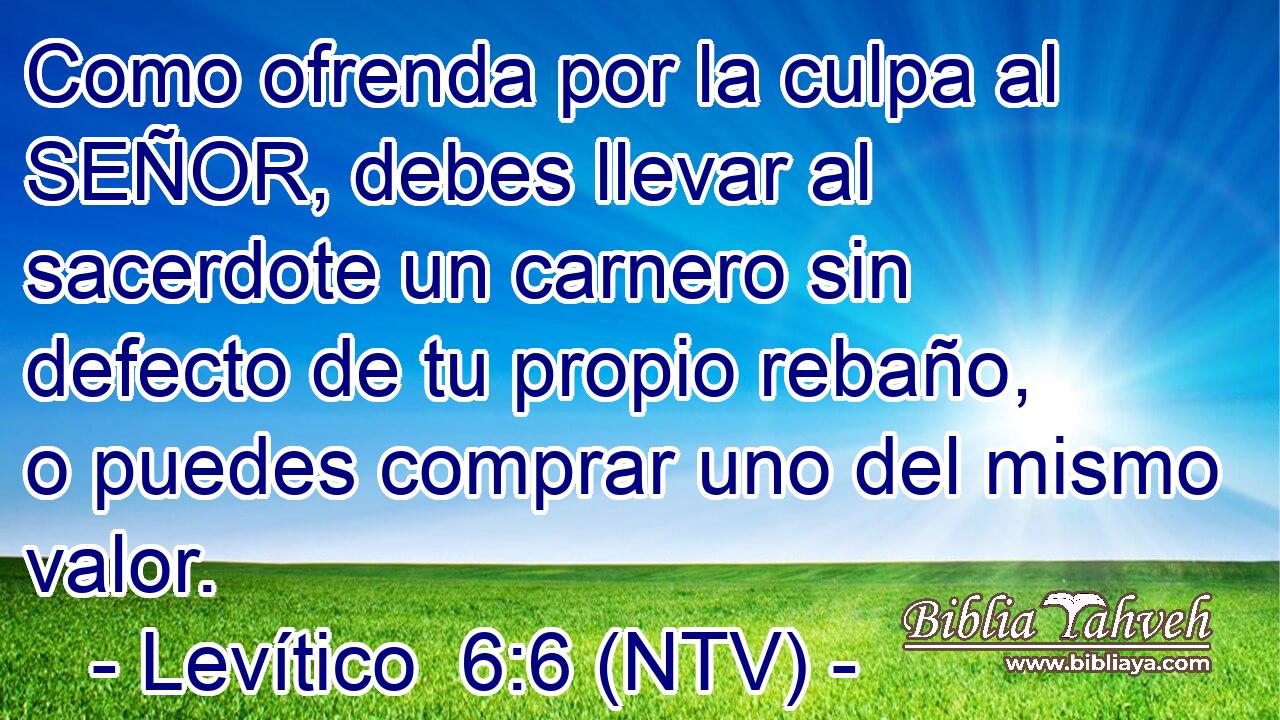 Como ofrenda por la culpa al SEÑOR, debes llevar al sacerdote un carnero sin defecto de tu propio rebaño, o puedes comprar uno del mismo valor.