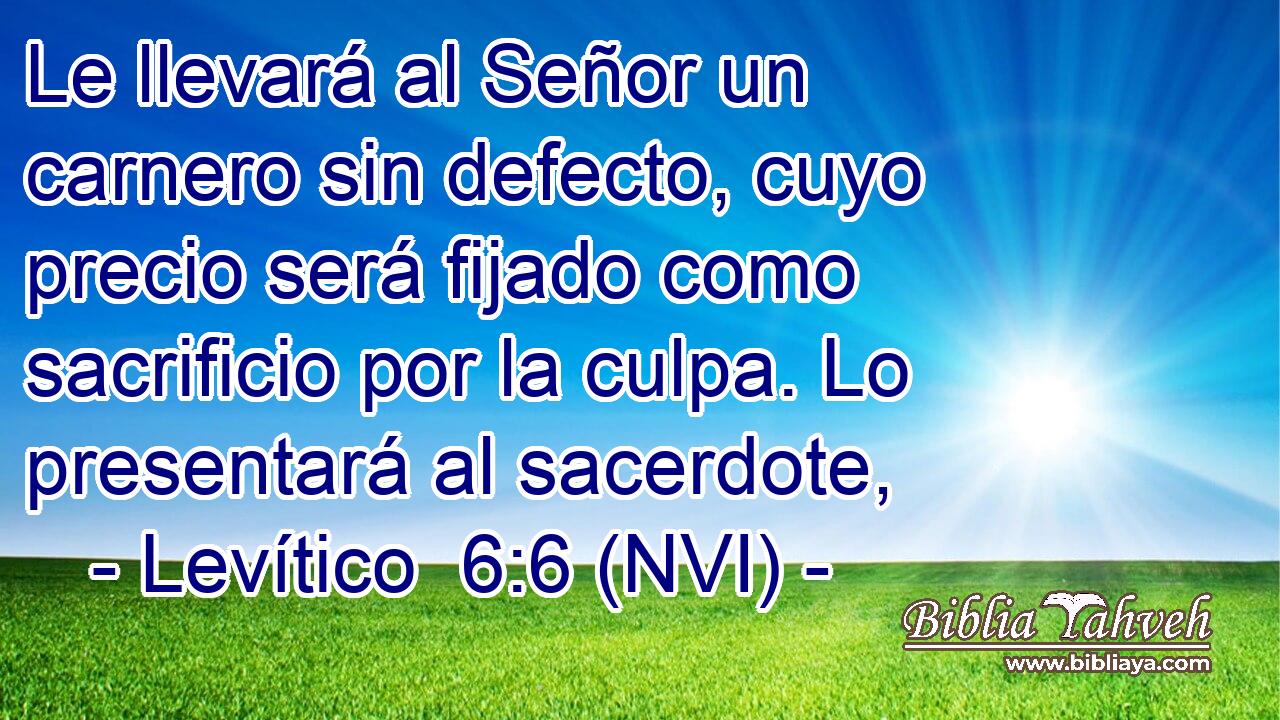  Le llevará al Señor un carnero sin defecto, cuyo precio será fijado como sacrificio por la culpa. Lo presentará al sacerdote, 