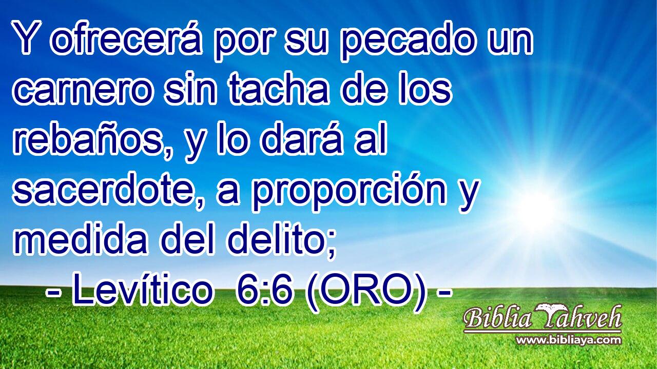  Y ofrecerá por su pecado un carnero sin tacha de los rebaños, y lo dará al sacerdote, a proporción y medida del delito; 