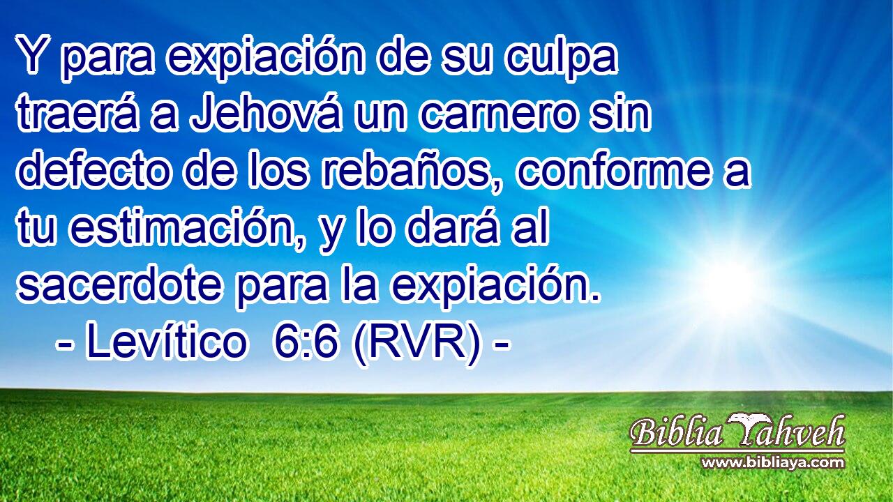 Y para expiación de su culpa traerá a Jehová un carnero sin defecto de los rebaños, conforme a tu estimación, y lo dará al sacerdote para la expiación.