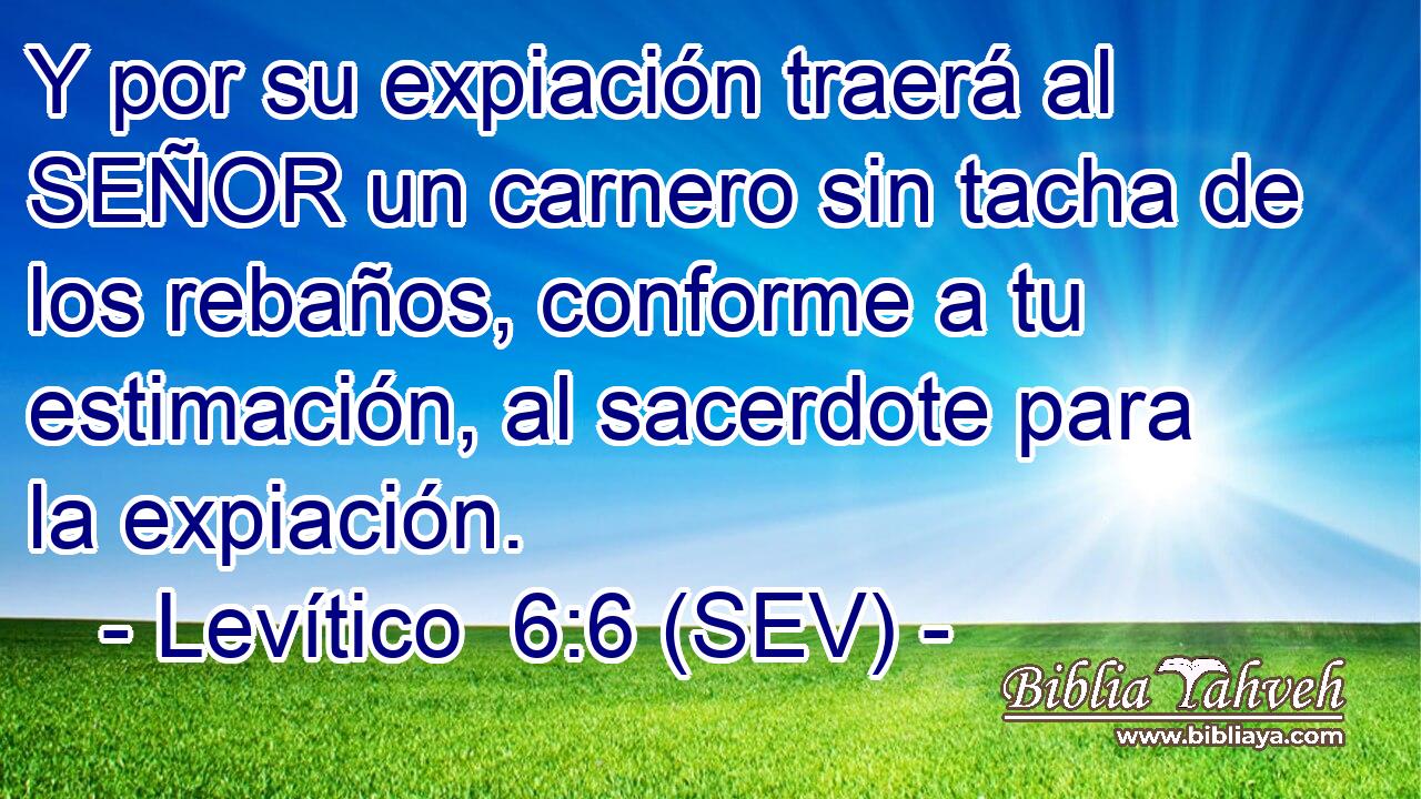 Y por su expiación traerá al SEÑOR un carnero sin tacha de los rebaños, conforme a tu estimación, al sacerdote para la expiación.