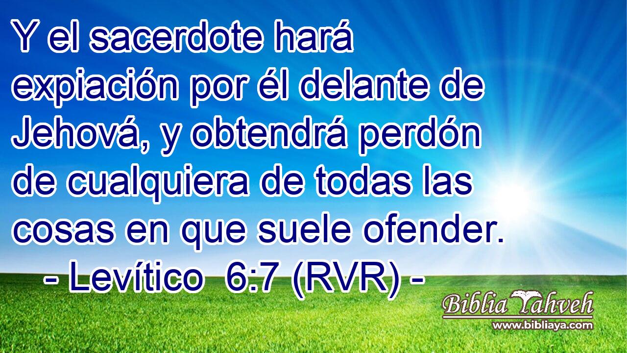Y el sacerdote hará expiación por él delante de Jehová, y obtendrá perdón de cualquiera de todas las cosas en que suele ofender.