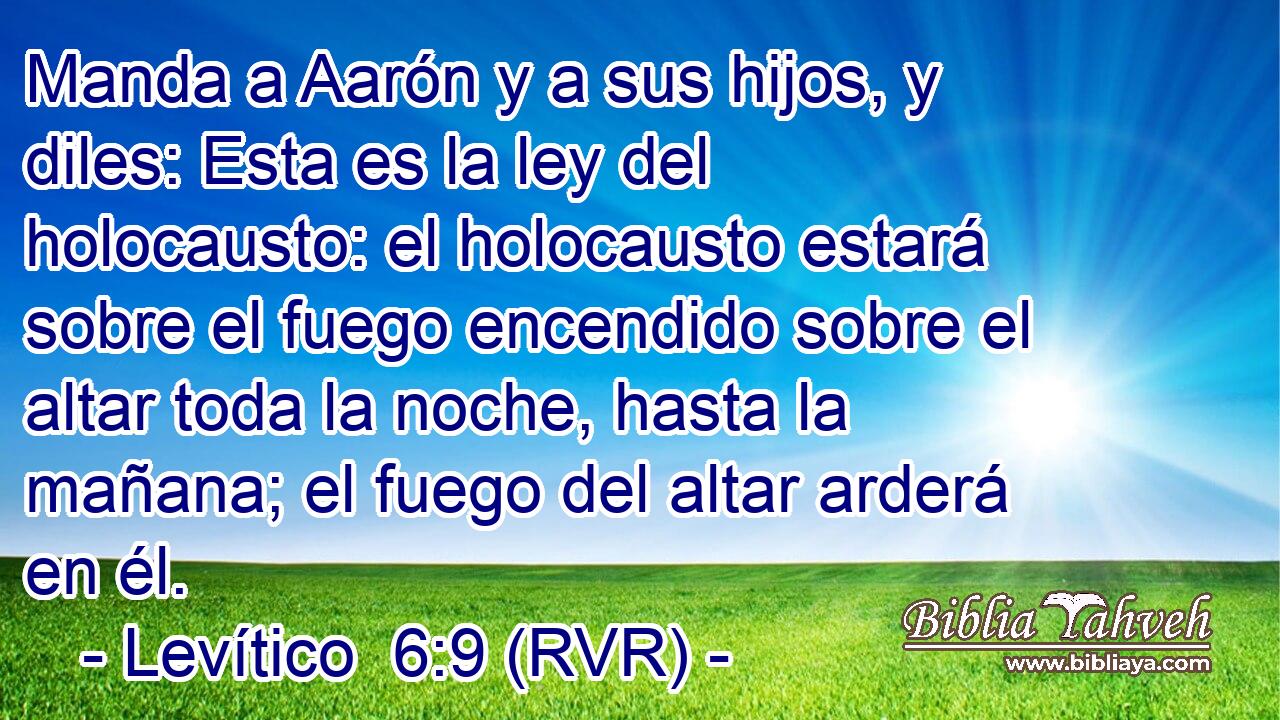 Manda a Aarón y a sus hijos, y diles: Esta es la ley del holocausto: el holocausto estará sobre el fuego encendido sobre el altar toda la noche, hasta la mañana; el fuego del altar arderá en él.