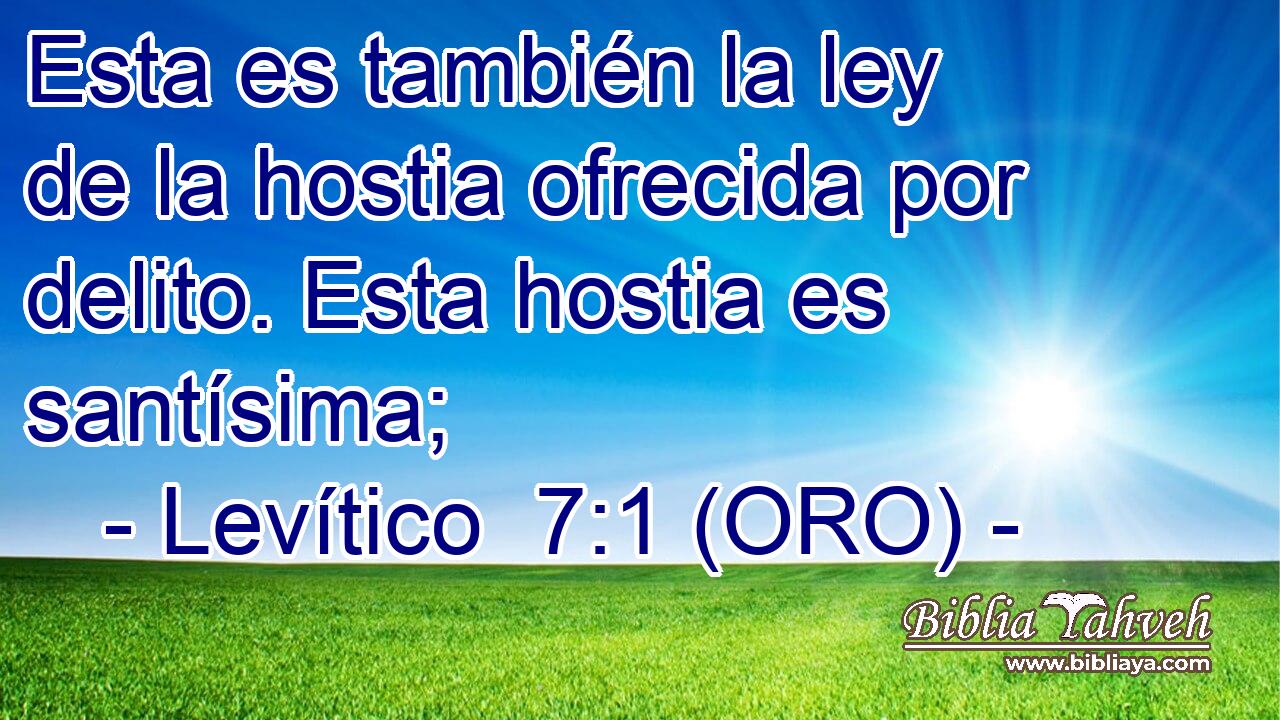  Esta es también la ley de la hostia ofrecida por delito. Esta hostia es santísima; 
