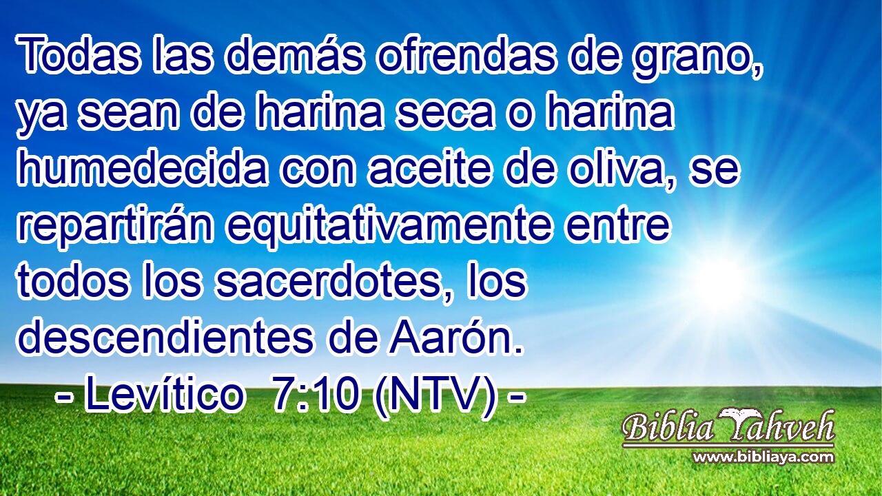 Todas las demás ofrendas de grano, ya sean de harina seca o harina humedecida con aceite de oliva, se repartirán equitativamente entre todos los sacerdotes, los descendientes de Aarón.