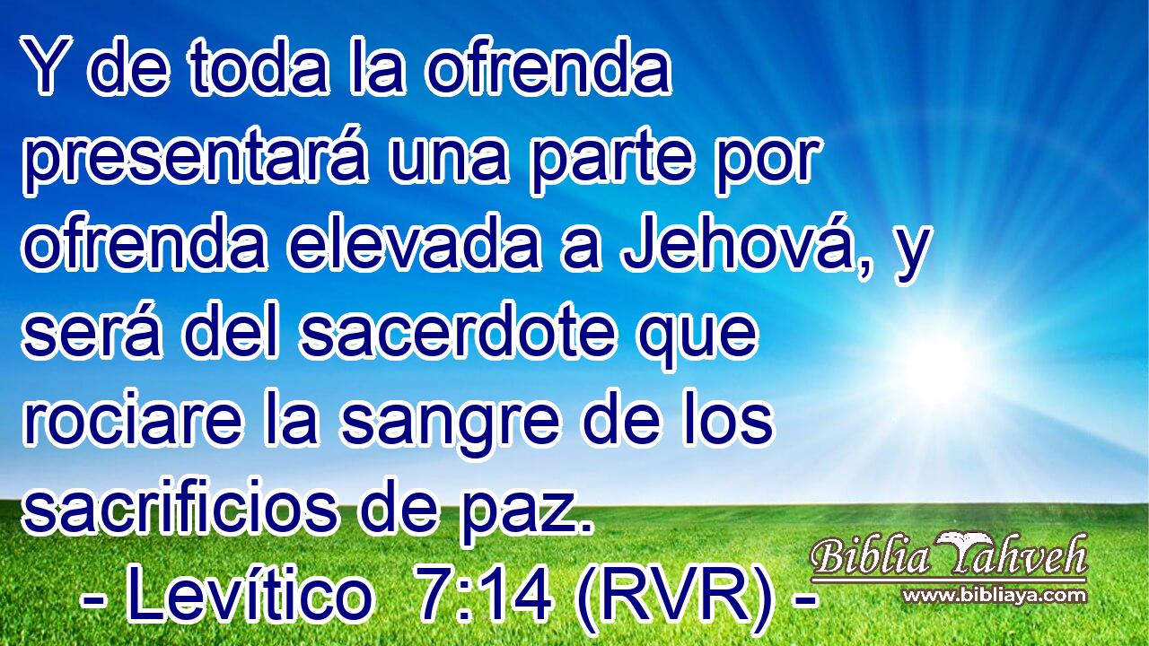 Y de toda la ofrenda presentará una parte por ofrenda elevada a Jehová, y será del sacerdote que rociare la sangre de los sacrificios de paz.