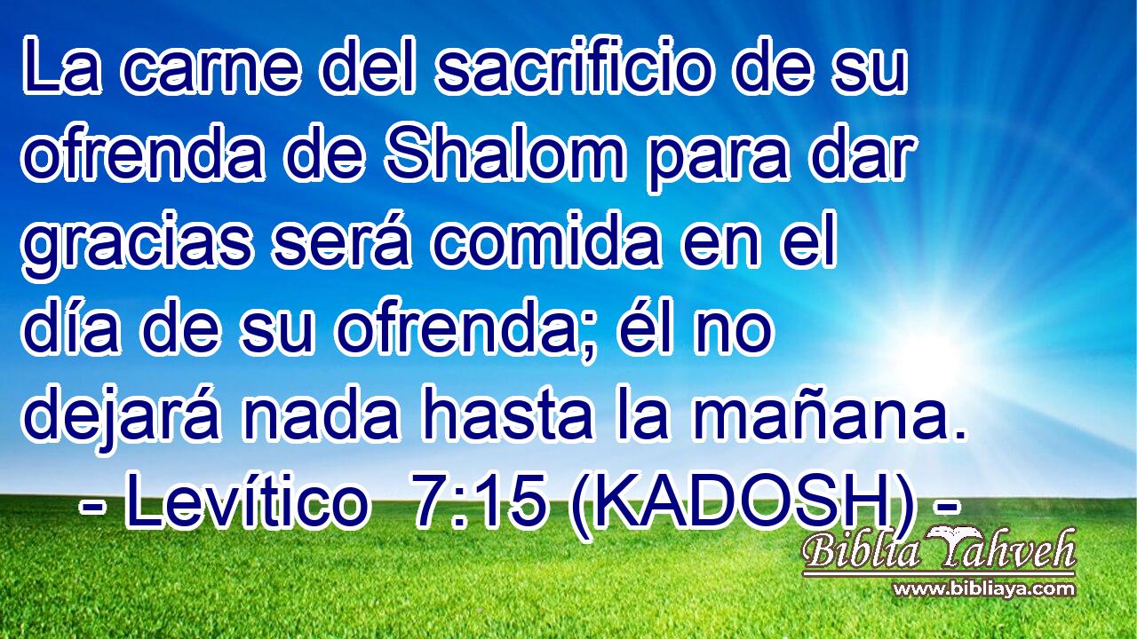  La carne del sacrificio de su ofrenda de Shalom para dar gracias será comida en el día de su ofrenda; él no dejará nada hasta la mañana. 