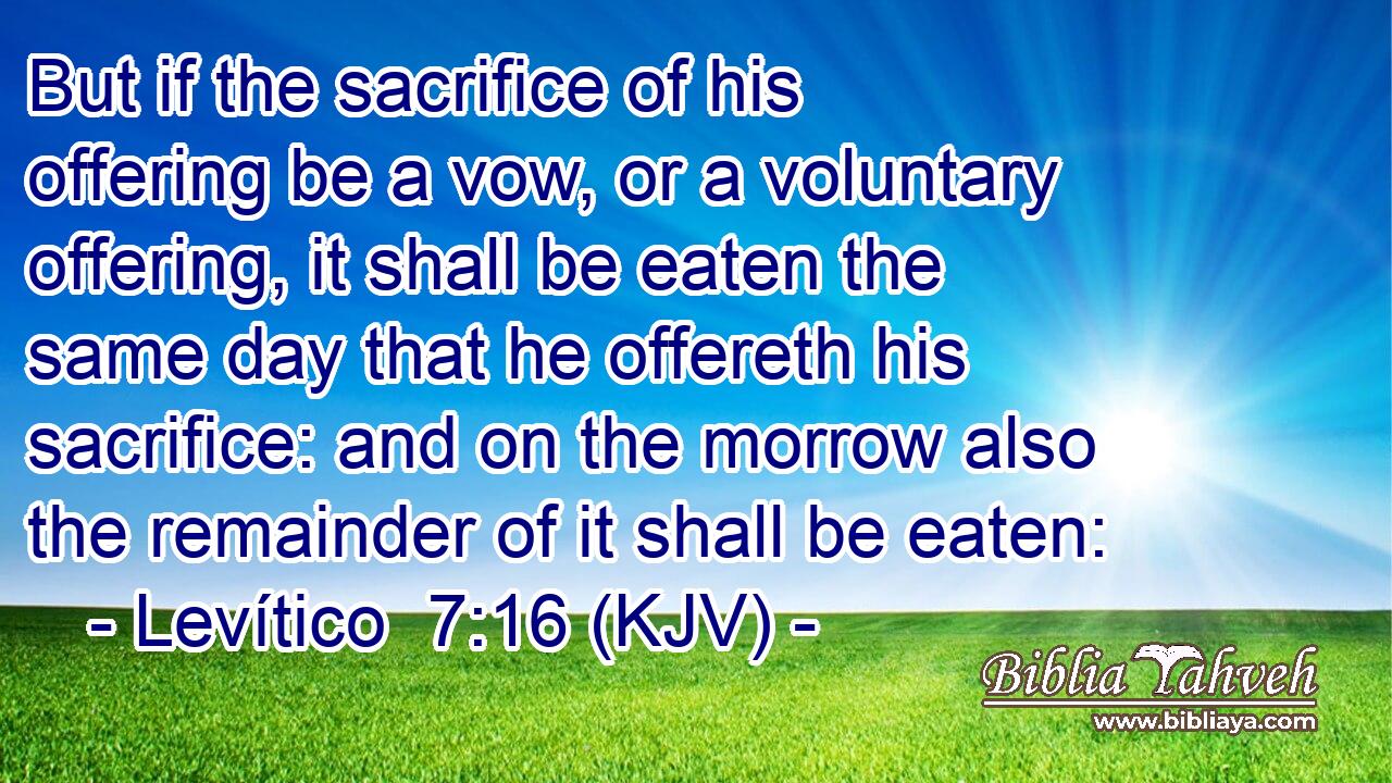 But if the sacrifice of his offering be a vow, or a voluntary offering, it shall be eaten the same day that he offereth his sacrifice: and on the morrow also the remainder of it shall be eaten: