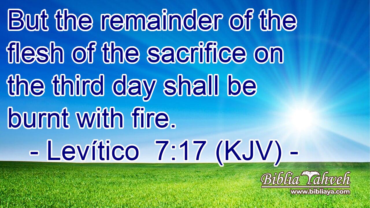 But the remainder of the flesh of the sacrifice on the third day shall be burnt with fire.