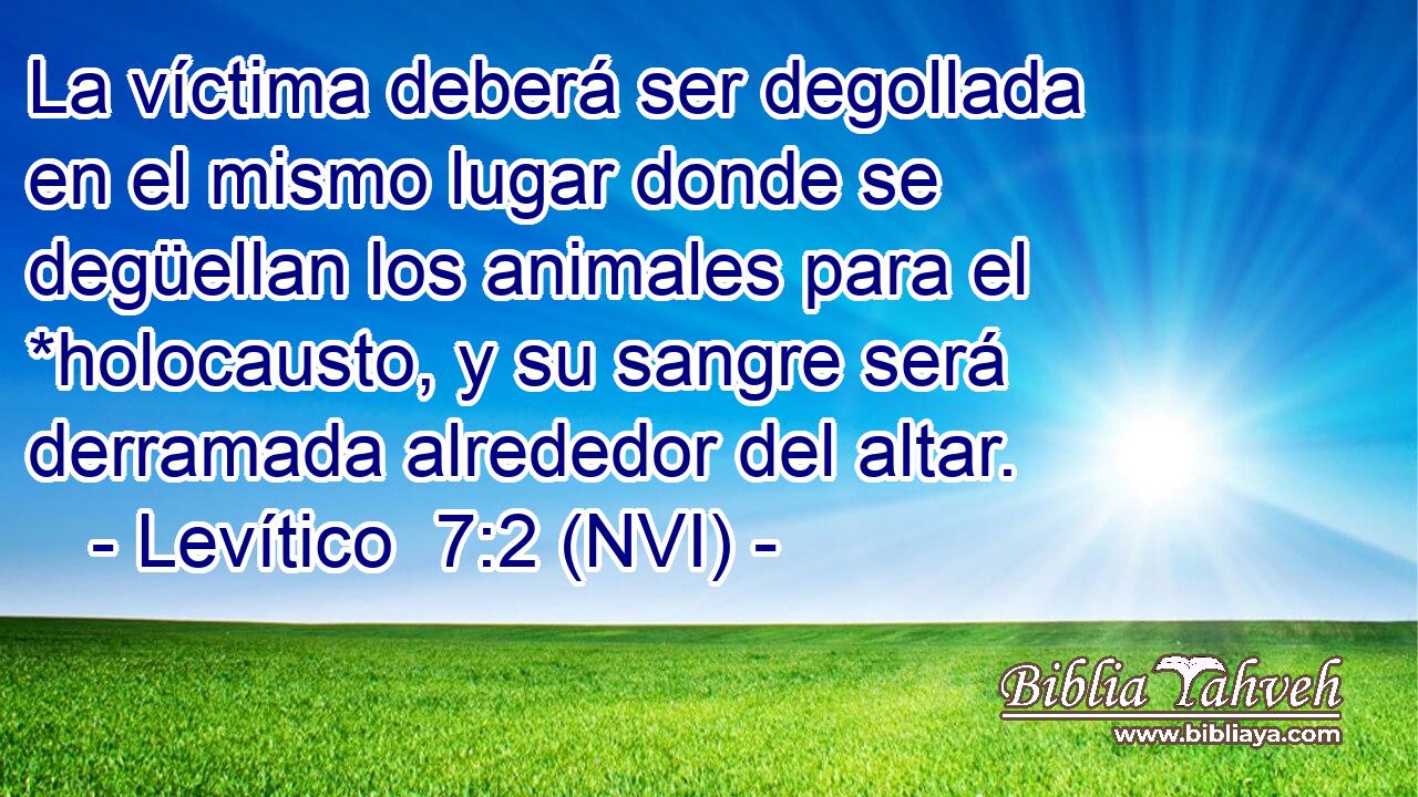  La víctima deberá ser degollada en el mismo lugar donde se degüellan los animales para el *holocausto, y su sangre será derramada alrededor del altar. 