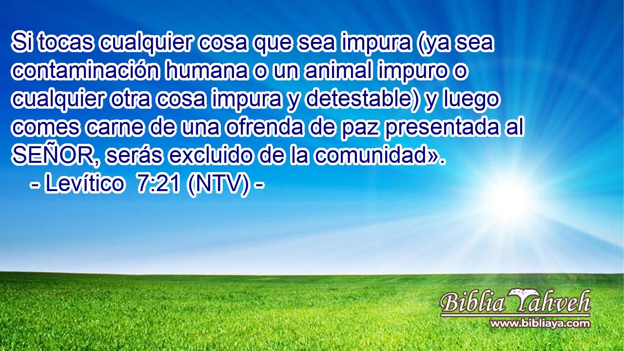 Si tocas cualquier cosa que sea impura (ya sea contaminación humana o un animal impuro o cualquier otra cosa impura y detestable) y luego comes carne de una ofrenda de paz presentada al SEÑOR, serás excluido de la comunidad».