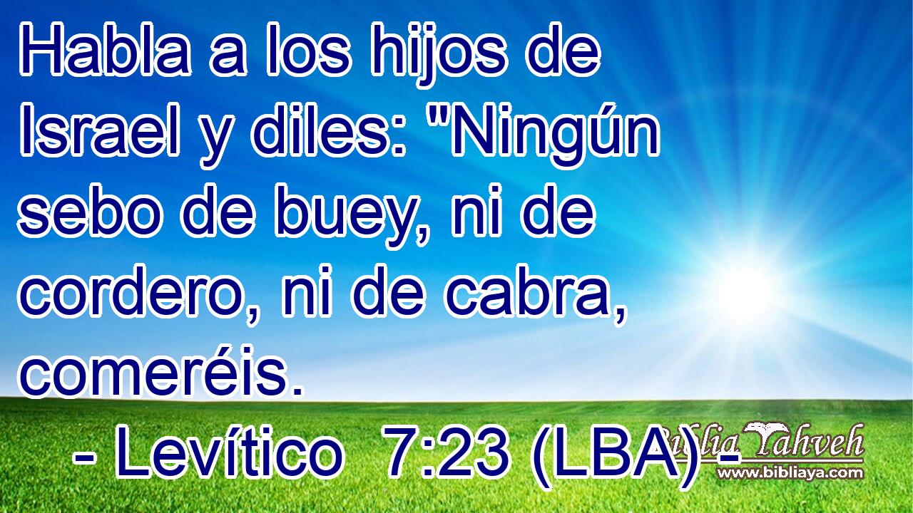 Habla a los hijos de Israel y diles: 