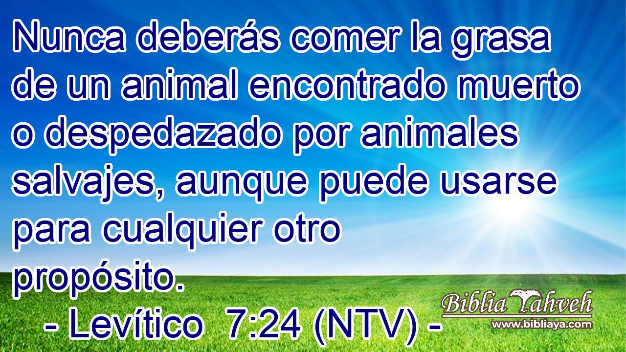 Nunca deberás comer la grasa de un animal encontrado muerto o despedazado por animales salvajes, aunque puede usarse para cualquier otro propósito.