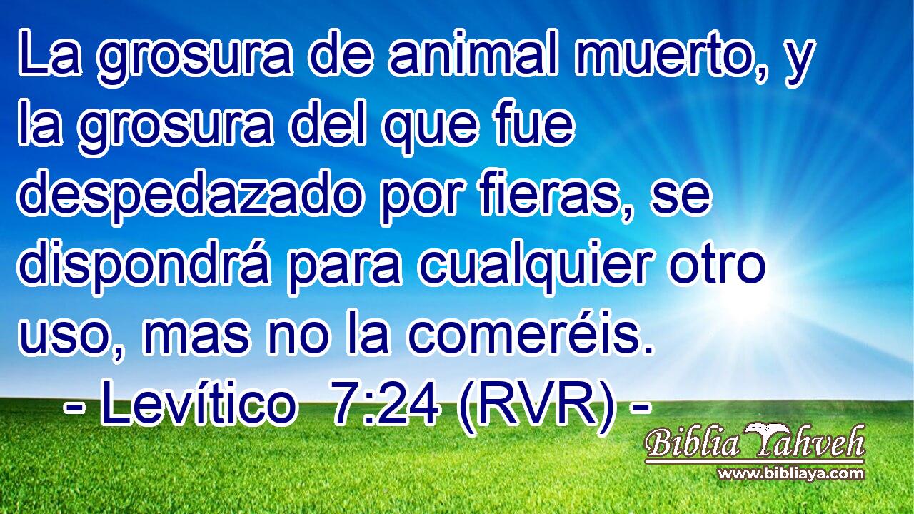 La grosura de animal muerto, y la grosura del que fue despedazado por fieras, se dispondrá para cualquier otro uso, mas no la comeréis.