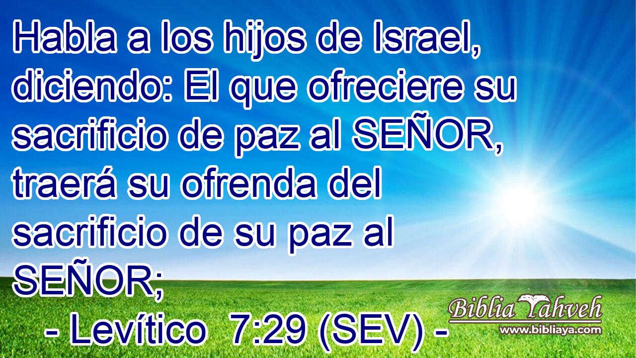 Habla a los hijos de Israel, diciendo: El que ofreciere su sacrificio de paz al SEÑOR, traerá su ofrenda del sacrificio de su paz al SEÑOR;