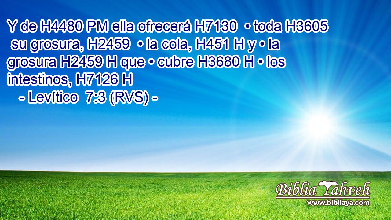 Y de H4480 PM ella ofrecerá H7130  • toda H3605  su grosura, H2459  • la cola, H451 H y • la grosura H2459 H que • cubre H3680 H • los intestinos, H7126 H 
