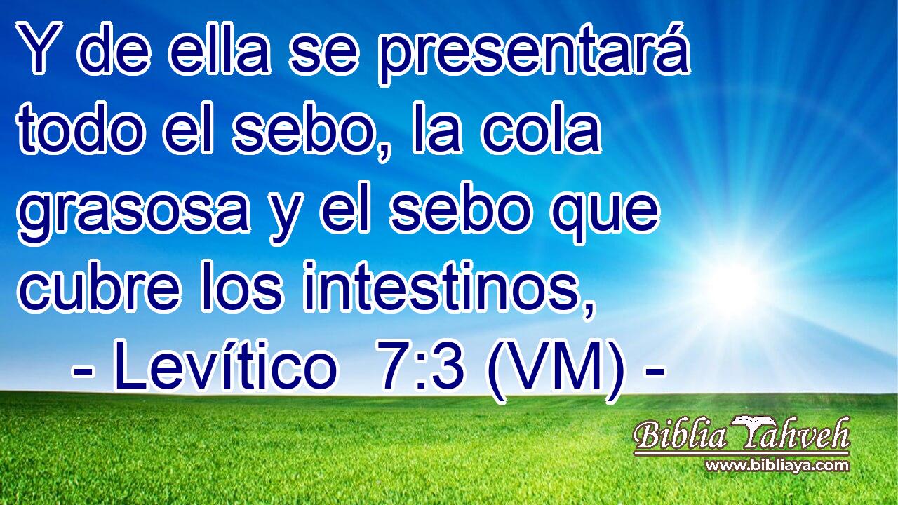  Y de ella se presentará todo el sebo, la cola grasosa y el sebo que cubre los intestinos, 