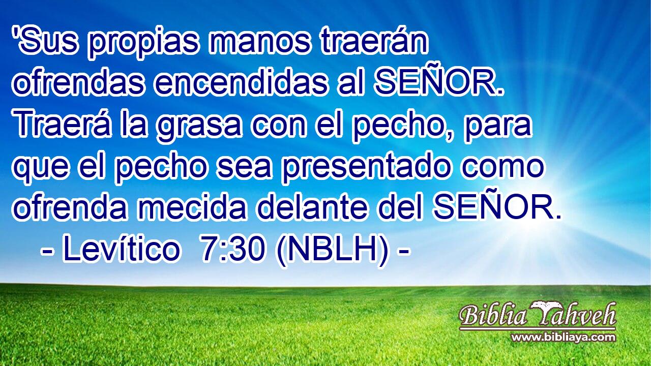  'Sus propias manos traerán ofrendas encendidas al SEÑOR. Traerá la grasa con el pecho, para que el pecho sea presentado como ofrenda mecida delante del SEÑOR. 