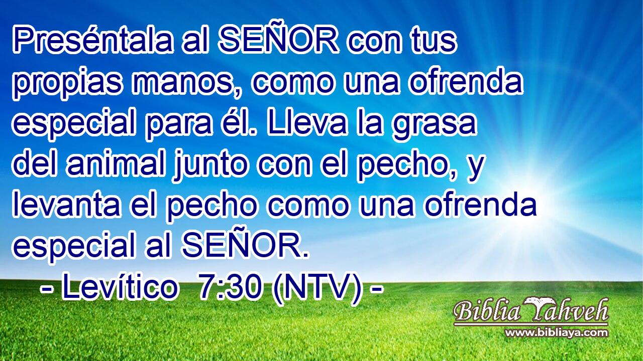 Preséntala al SEÑOR con tus propias manos, como una ofrenda especial para él. Lleva la grasa del animal junto con el pecho, y levanta el pecho como una ofrenda especial al SEÑOR.