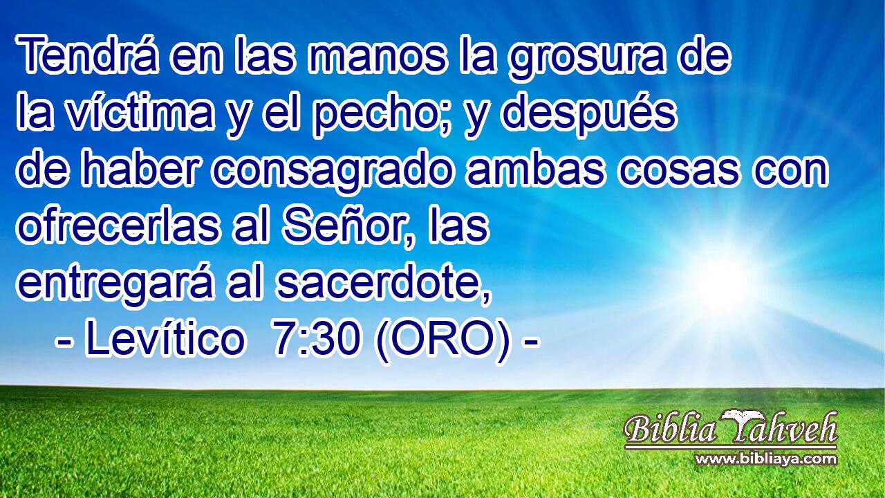 Tendrá en las manos la grosura de la víctima y el pecho; y después de haber consagrado ambas cosas con ofrecerlas al Señor, las entregará al sacerdote, 