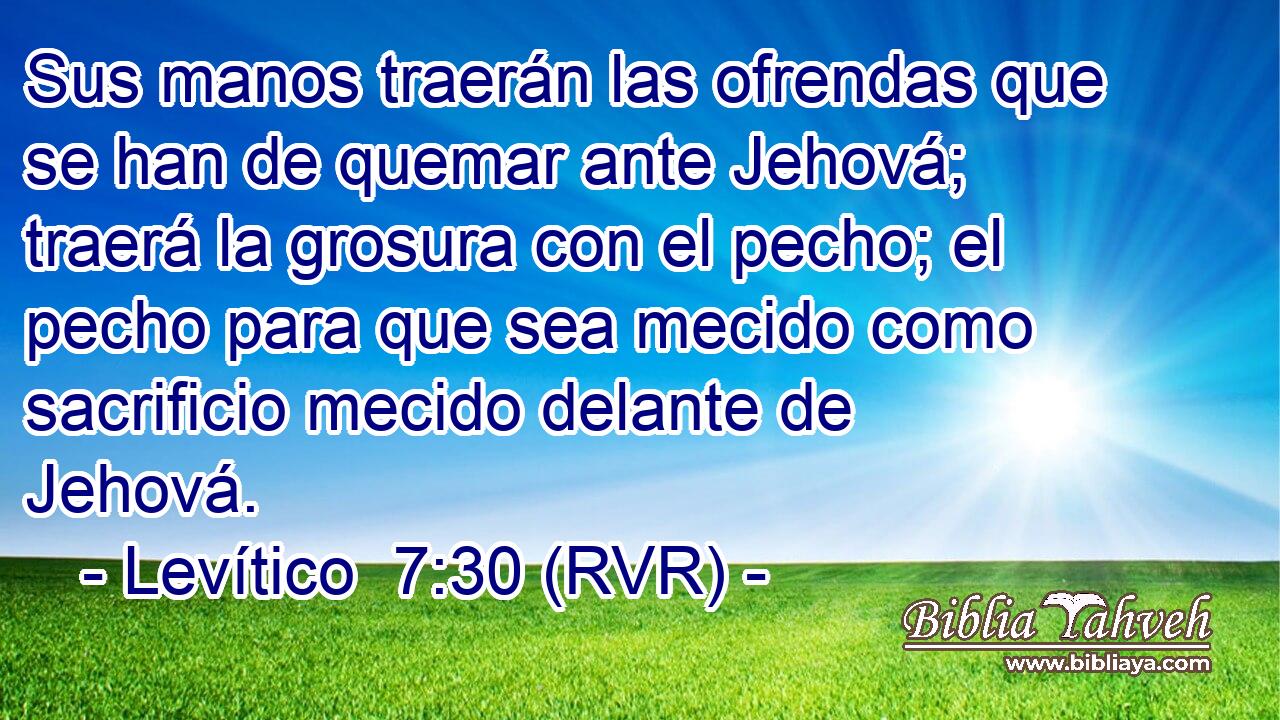 Sus manos traerán las ofrendas que se han de quemar ante Jehová; traerá la grosura con el pecho; el pecho para que sea mecido como sacrificio mecido delante de Jehová.