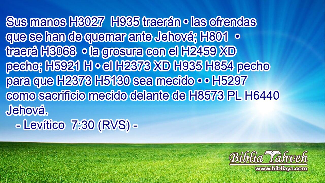 Sus manos H3027  H935 traerán • las ofrendas que se han de quemar ante Jehová; H801  • traerá H3068  • la grosura con el H2459 XD pecho; H5921 H • el H2373 XD H935 H854 pecho para que H2373 H5130 sea mecido • • H5297  como sacrificio mecido delante de H8573 PL H6440 Jehová. 
