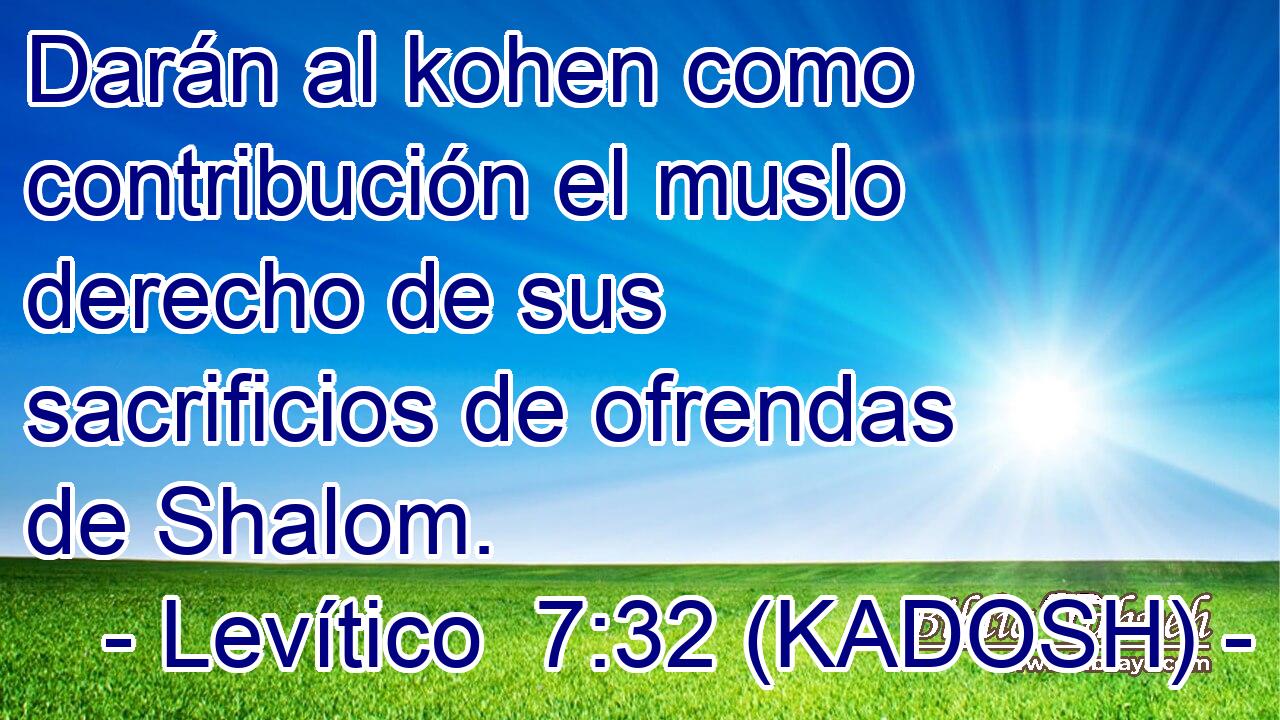  Darán al kohen como contribución el muslo derecho de sus sacrificios de ofrendas de Shalom. 
