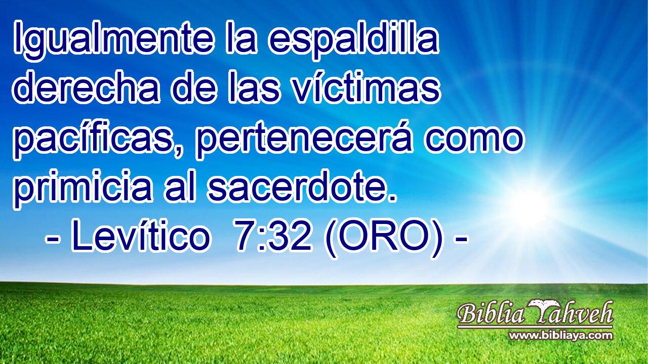  Igualmente la espaldilla derecha de las víctimas pacíficas, pertenecerá como primicia al sacerdote. 