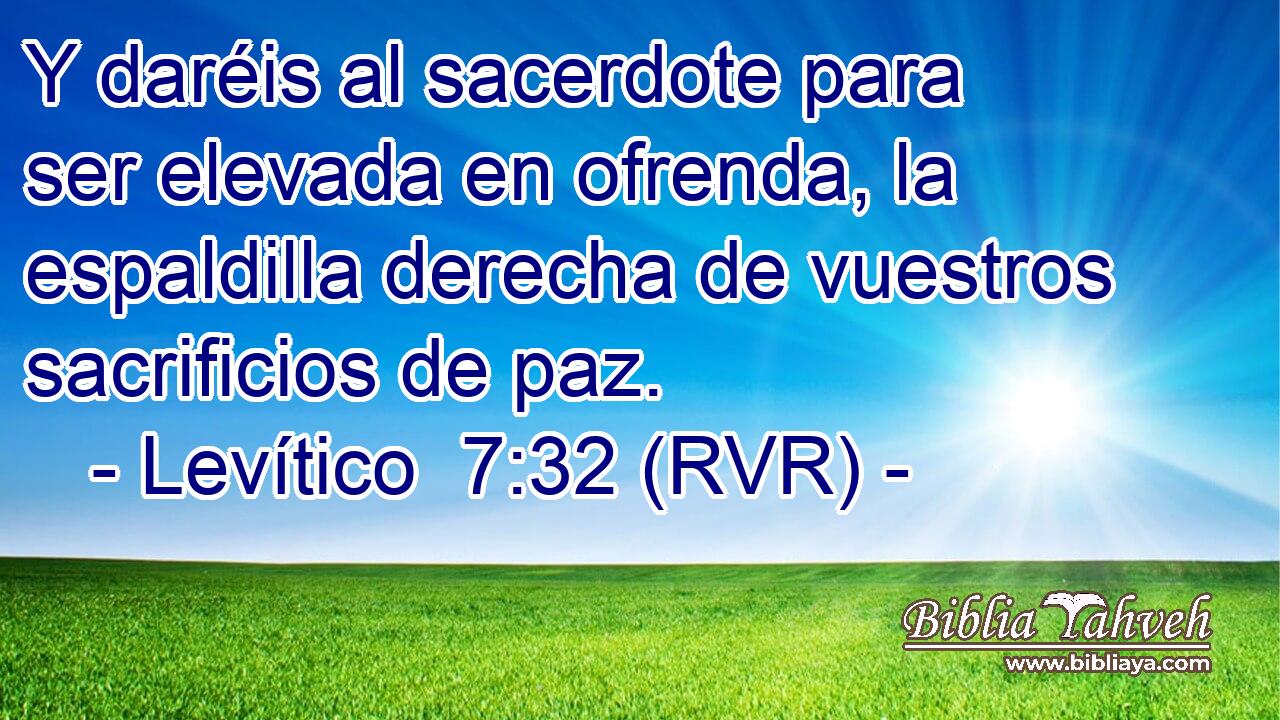 Y daréis al sacerdote para ser elevada en ofrenda, la espaldilla derecha de vuestros sacrificios de paz.