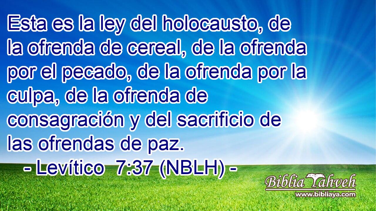  Esta es la ley del holocausto, de la ofrenda de cereal, de la ofrenda por el pecado, de la ofrenda por la culpa, de la ofrenda de consagración y del sacrificio de las ofrendas de paz. 